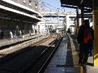 �摜